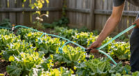 11 Best Desert-Friendly Drip Irrigation Systems in 2026