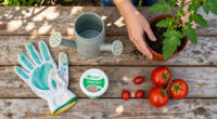11 Best Tomato Plant Care Supplies in 2026