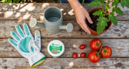 11 Best Tomato Plant Care Supplies in 2026