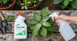 12 Best Fungicides for Powdery Mildew in 2026