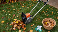 12 Best Leaf Blowers for Fall Yard Cleanup in 2026