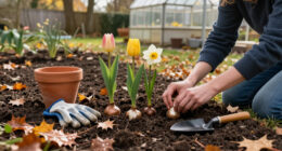 12 Best Spring Flower Bulbs to Plant in Fall for a Colorful Garden in 2026