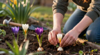 12 Best Spring Flowering Bulbs in 2026