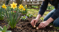 14 Best Daffodil Bulbs in 2026