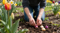 14 Best Flower Bulbs in 2026