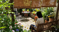 14 Best Garden Shade Solutions in 2026
