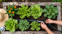 14 Best Water-Efficient Drip Irrigation Systems in 2026