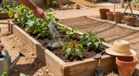 15 Best Raised Garden Beds for Hot Climates in 2026