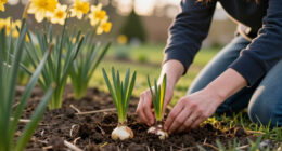 9 Best Fragrant Daffodil Bulbs in 2026