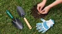 9 Best Lawn Repair Products in 2026