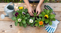 Don't Cut Back These 5 Perennials Too Soon! They Add Multi-Season Interest, If You Leave Them Alone In Fall