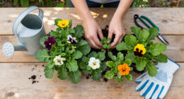 Don't Cut Back These 5 Perennials Too Soon! They Add Multi-Season Interest, If You Leave Them Alone In Fall