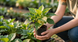 Former Garden Center Manager Reveals 5 Plants You Should Always Buy On Clearance – And 3 Plants To Skip