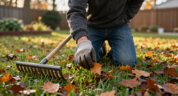 Garden Mythbusters: Will Leaves Left On The Lawn Always Smother And Kill Your Grass?