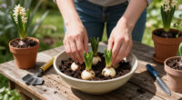 How To Plant Hyacinth Bulbs In September For Bowls Of Fragrant Christmas Flowers
