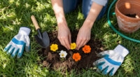 Plant These $1 Bulbs In Your Lawn Now For Drifts Of Pretty Fall Flowers