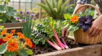 These 6 Edible Plants Are Almost Too Pretty For The Vegetable Garden – Add Them To Your Fall Borders Instead