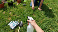 Why Your Lawn Is Full Of Crabgrass And How To Stop It From Taking Over The Whole Yard