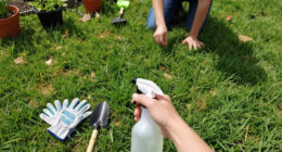 Why Your Lawn Is Full Of Crabgrass And How To Stop It From Taking Over The Whole Yard