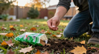 14 Best Grass Seeds for Fall in 2027