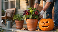 14 Best Heat-Tolerant Halloween Porch Plants for 2027