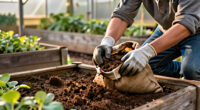 14 Best Peat Moss for Gardening and Potting Mixes in 2027