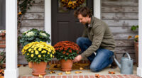 15 Best Fall Plants for Front Doors in 2027