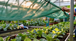 15 Best Greenhouse Shade Cloths for Protecting Plants in 2027