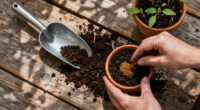 15 Best Organic Garden Fertilizers for Healthy Vegetables and Flowers in 2027