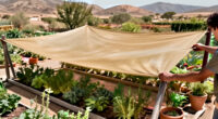 15 Best Shade Cloths for Desert Gardens in 2027