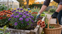 3 Best October-Blooming Flowers in 2027