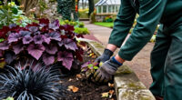 6 Best Gothic Garden Plants in 2027