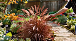 Ornamental Grasses Bring Fiery Fall Color And Soothing Textures To Your Garden – We've Found 16 Of The Best