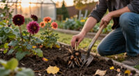 Should You Dig Up Your Dahlia Tubers This Fall? It Depends On Where You Live