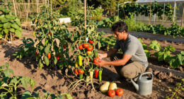 The Summer Heat Devastated My Garden, But These Are The Fruits And Vegetables That Survived – And What I’ll Grow Next Year