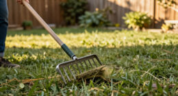 This $30 Lawn Tool Makes Dethatching So Much Easier – And It's Handy For Several Other Garden Jobs, Too