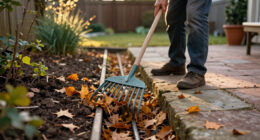 This Is The One Place I Never Let Fallen Leaves Pile Up In My Yard – It Saves A Bigger Job In Spring