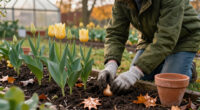 What To Plant In October For Flowers, Vegetables, And Bulbs That Will Establish Beautifully Before Winter Arrives